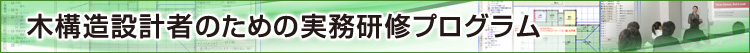 STRDESIGNV13